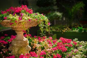 garden, flowers, flower wallpaper-670516.jpg